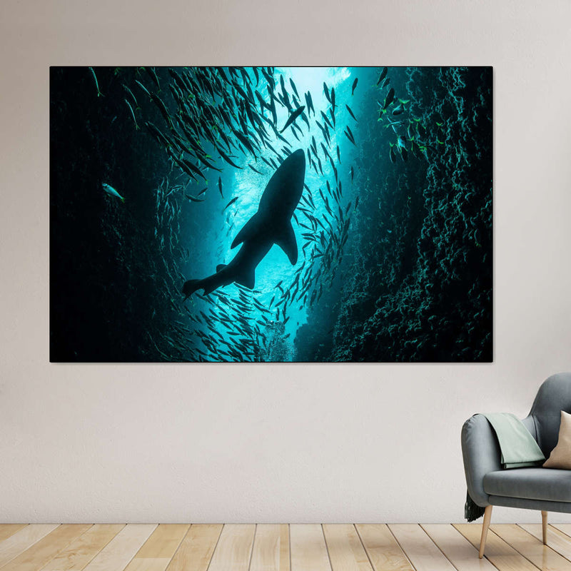 Shark Depth Wall Art