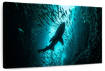 Shark Depth Wall Art