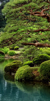 Zen Lakeside Bonsai Trees Wall Art