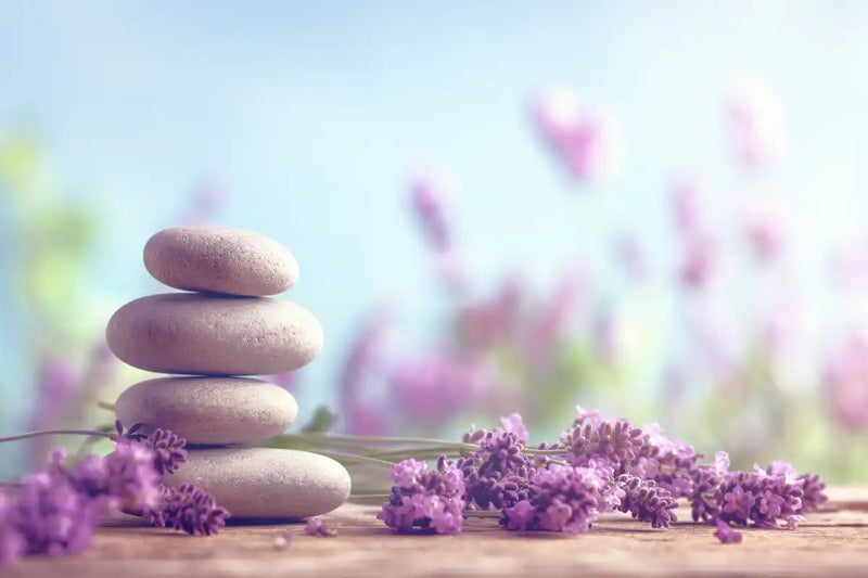 Zen Lavender Wall Art