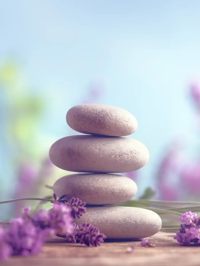 Zen Lavender Wall Art