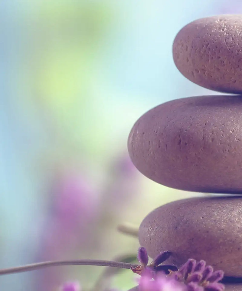 Zen Lavender Wall Art