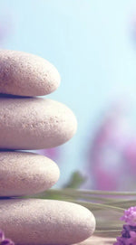 Zen Lavender Wall Art