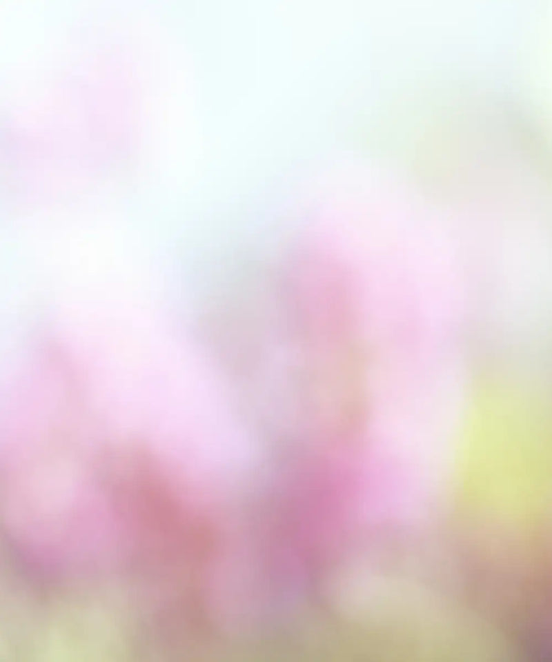 Zen Lavender Wall Art