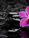 Zen Purple Orchid Wall Art