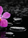 Zen Purple Orchid Wall Art