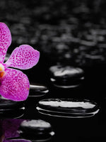 Zen Purple Orchid Wall Art