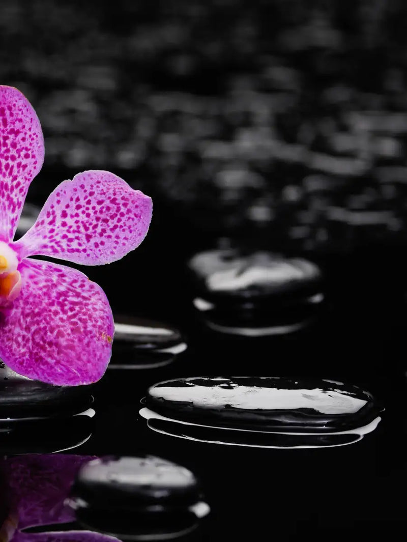 Zen Purple Orchid Wall Art