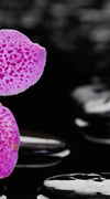 Zen Purple Orchid Wall Art