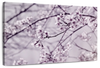 Pastel Sakura Wall Art