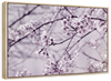 Pastel Sakura Wall Art
