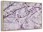 Pastel Sakura Wall Art