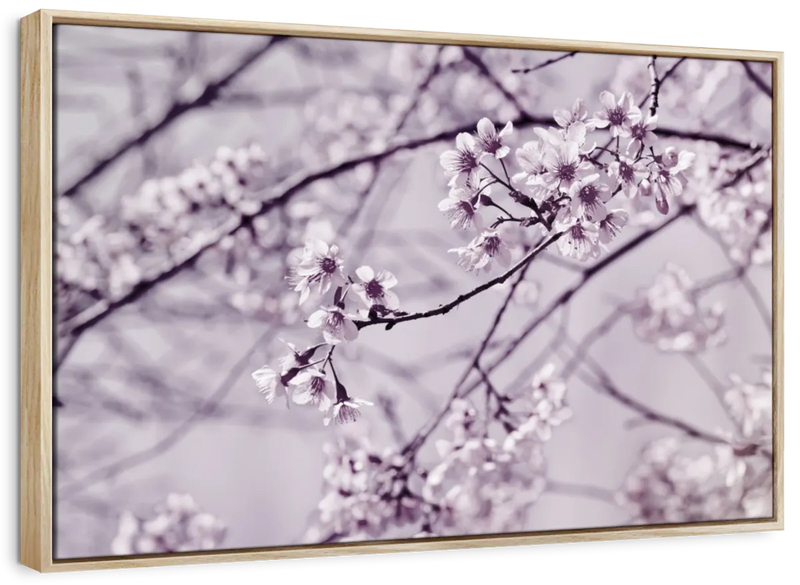 Pastel Sakura Wall Art
