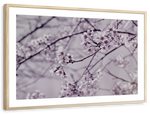 Pastel Sakura Wall Art
