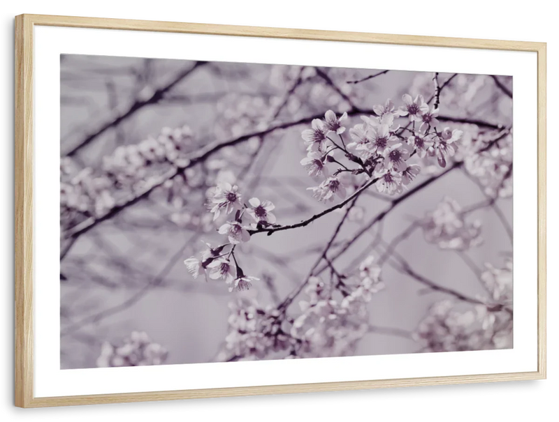 Pastel Sakura Wall Art