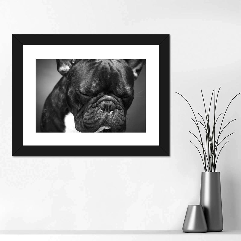 Melancholic French Bulldog Wall Art