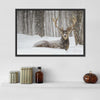 Snow Covered Elk Wall Art