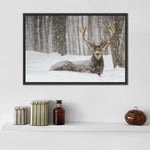 Snow Covered Elk Wall Art