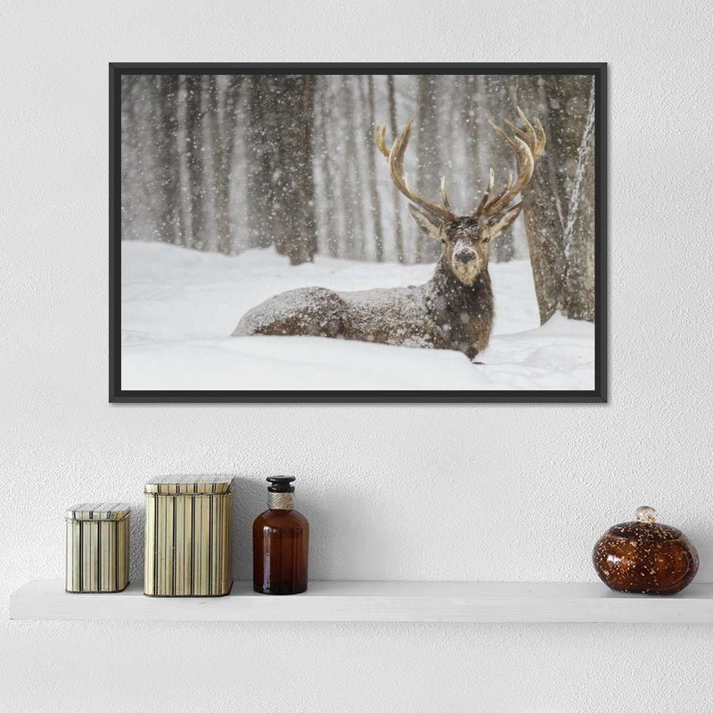 Snow Covered Elk Wall Art