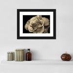 Retro Rose Wall Art