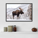 Snowy Moose Wall Art