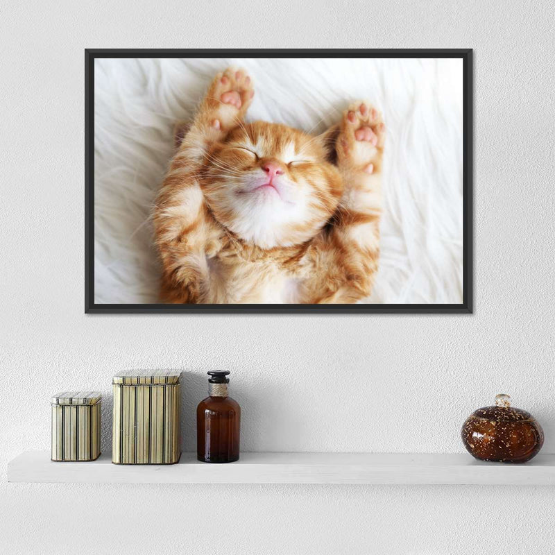 Sleepy Kitty Wall Art