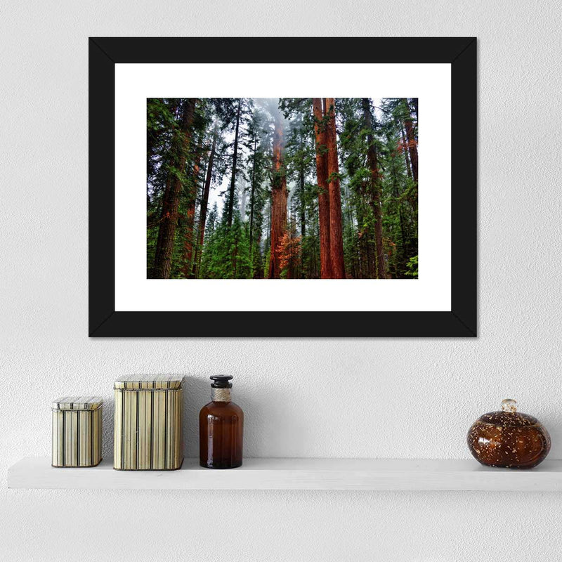 Vibrant Redwood Wall Art