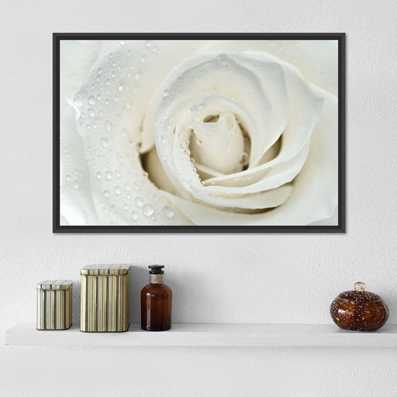 White Rose Close Up Wall Art