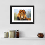 Proud Lion Wall Art