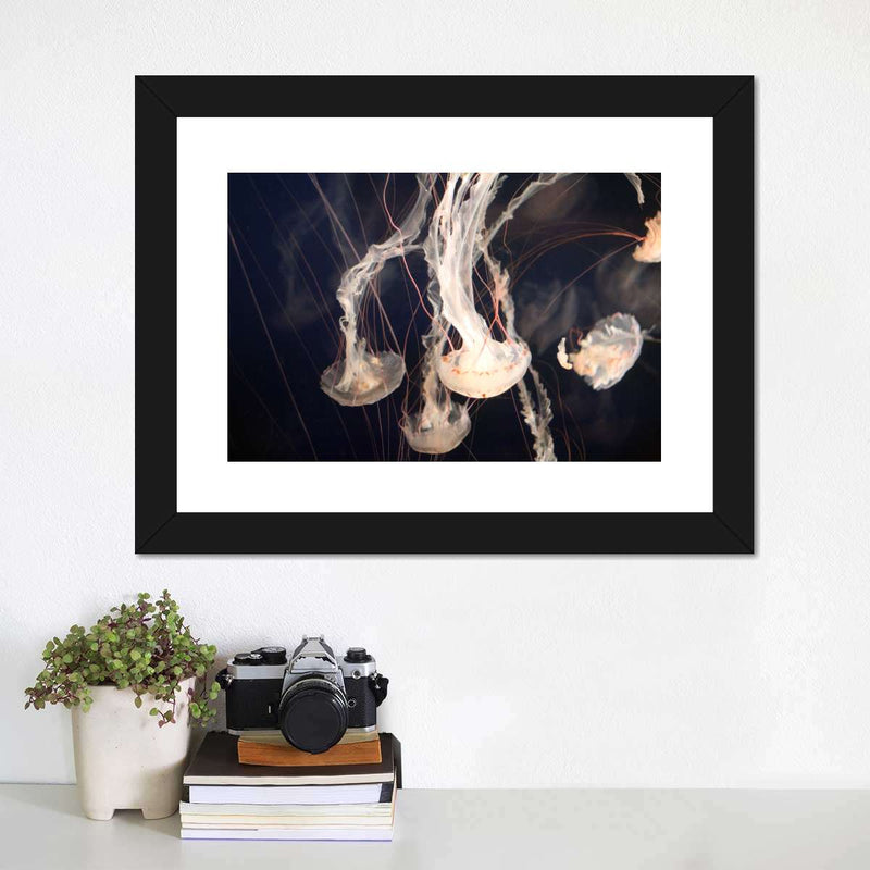 Light Of Jellyfish Wall Art