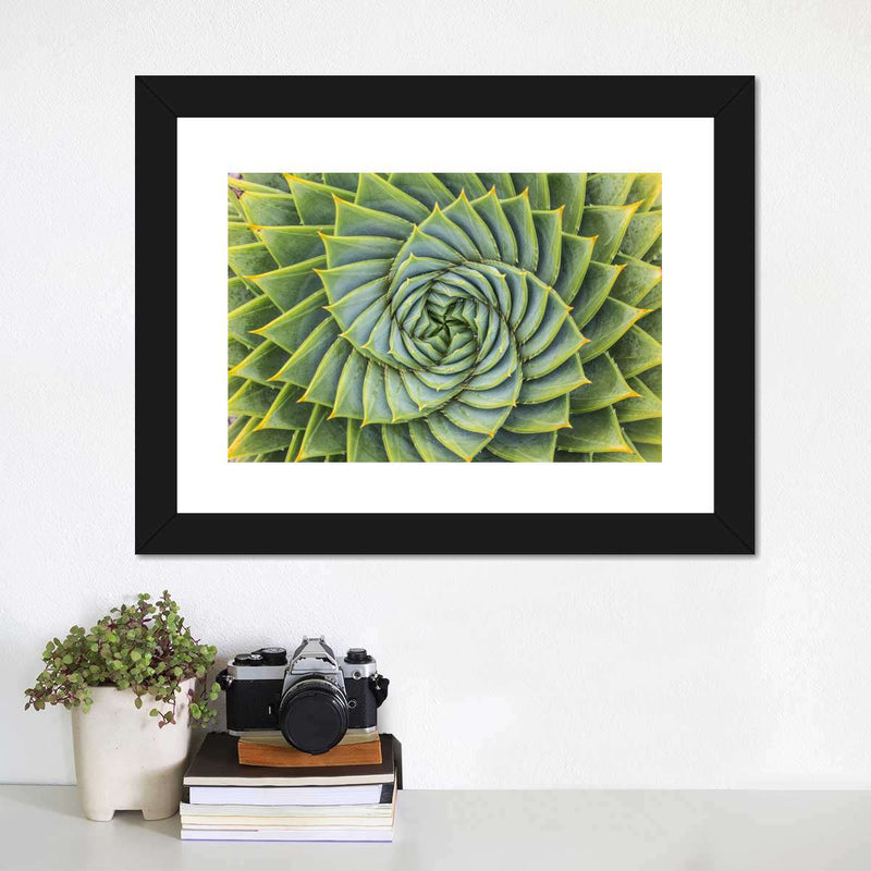 Spiral Succulent Wall Art