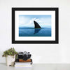 Shark Fin Wall Art