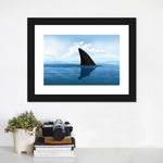 Shark Fin Wall Art