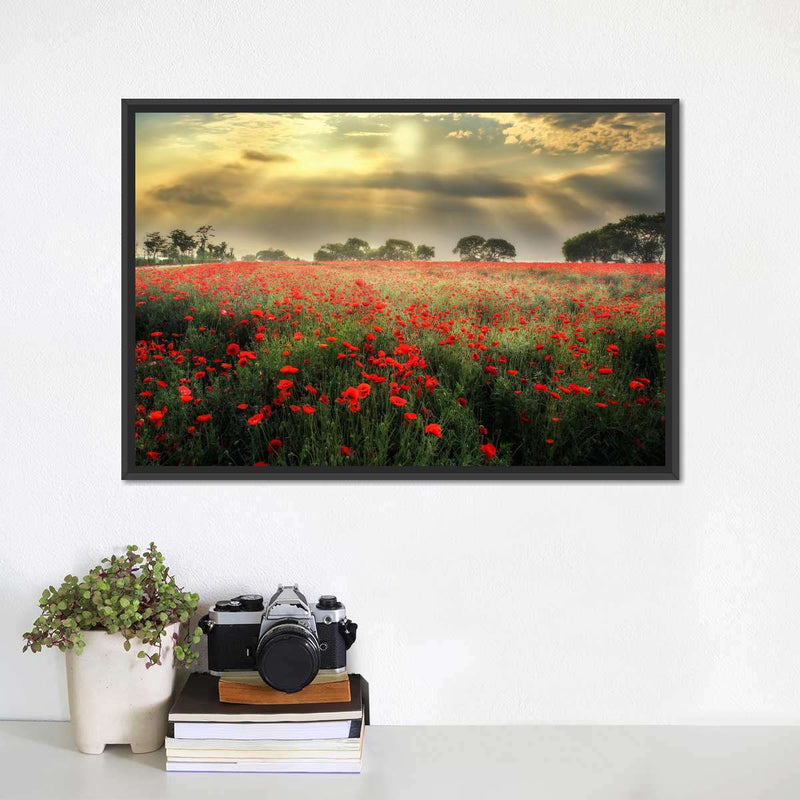 Scandinavian Poppy Field Wall Art