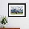 Grazing Teton Bison Wall Art