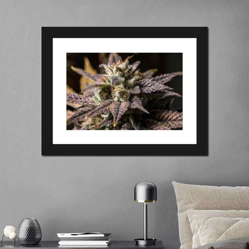 Marijuana In Winter Wall Art
