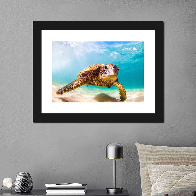 Hawaiian Turtle Wall Art