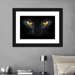Yellow Eyed Cat Wall Art