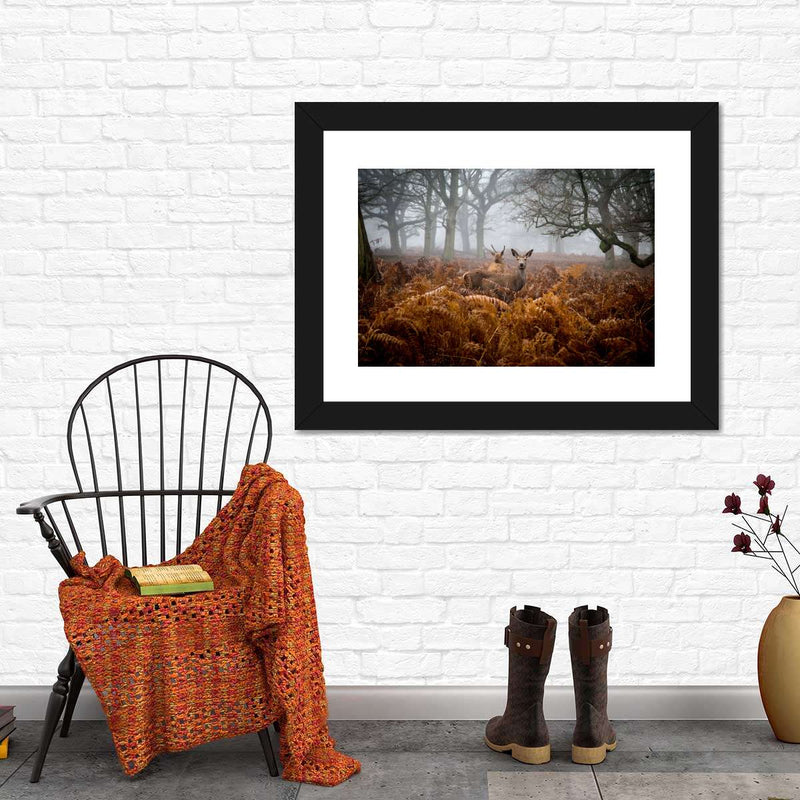 Richmond Park Deer Wall Art