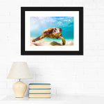 Hawaiian Turtle Wall Art