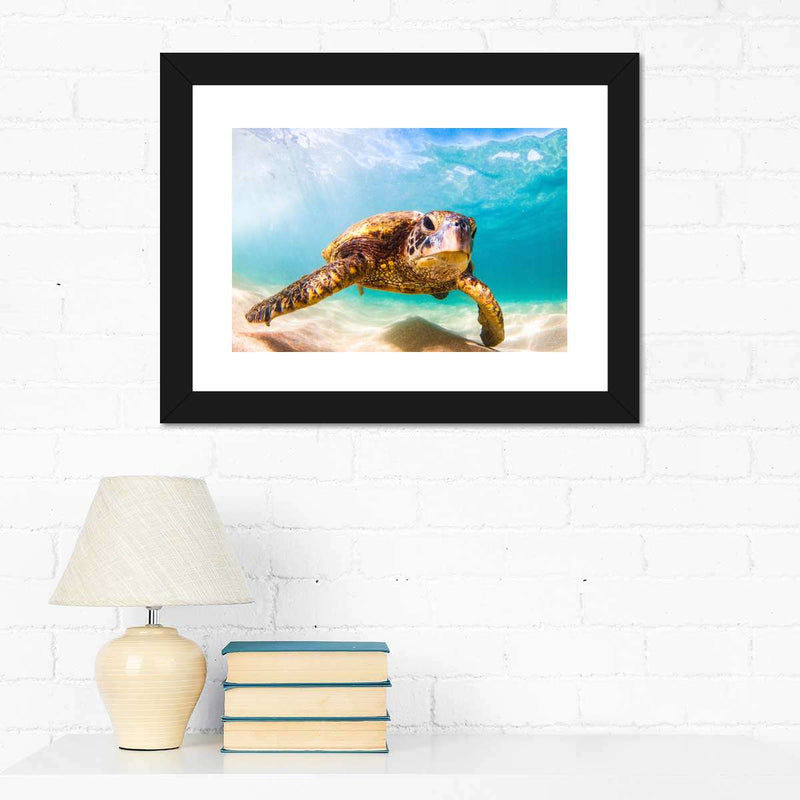 Hawaiian Turtle Wall Art