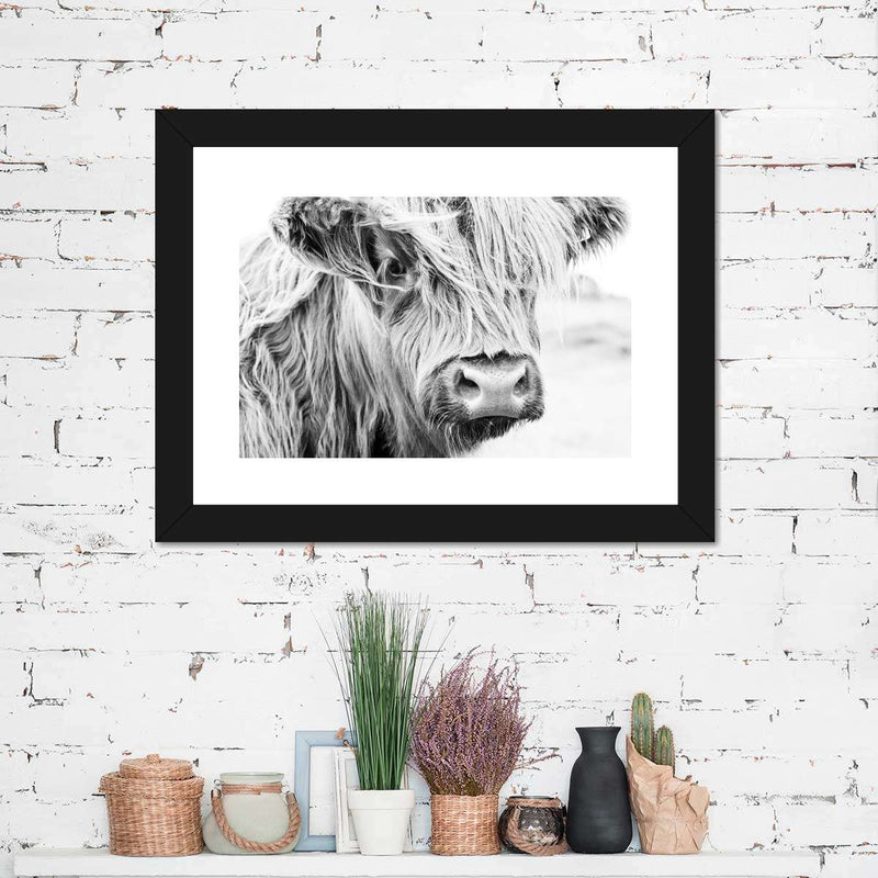Long Haired Cow Wall Art