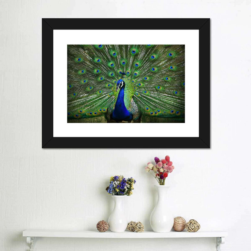 Peacock Feathers Wall Art