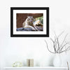 Resting White Tiger Wall Art