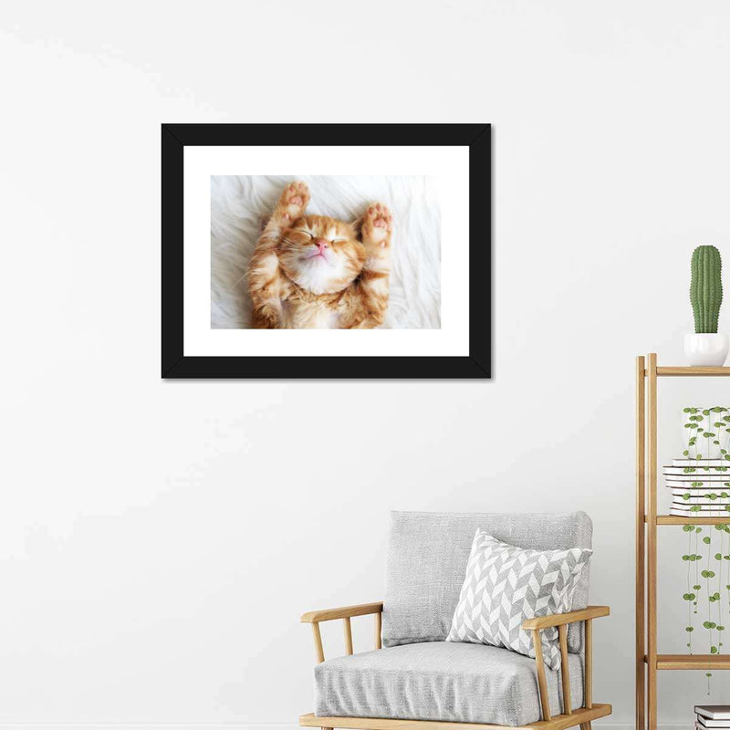 Sleepy Kitty Wall Art
