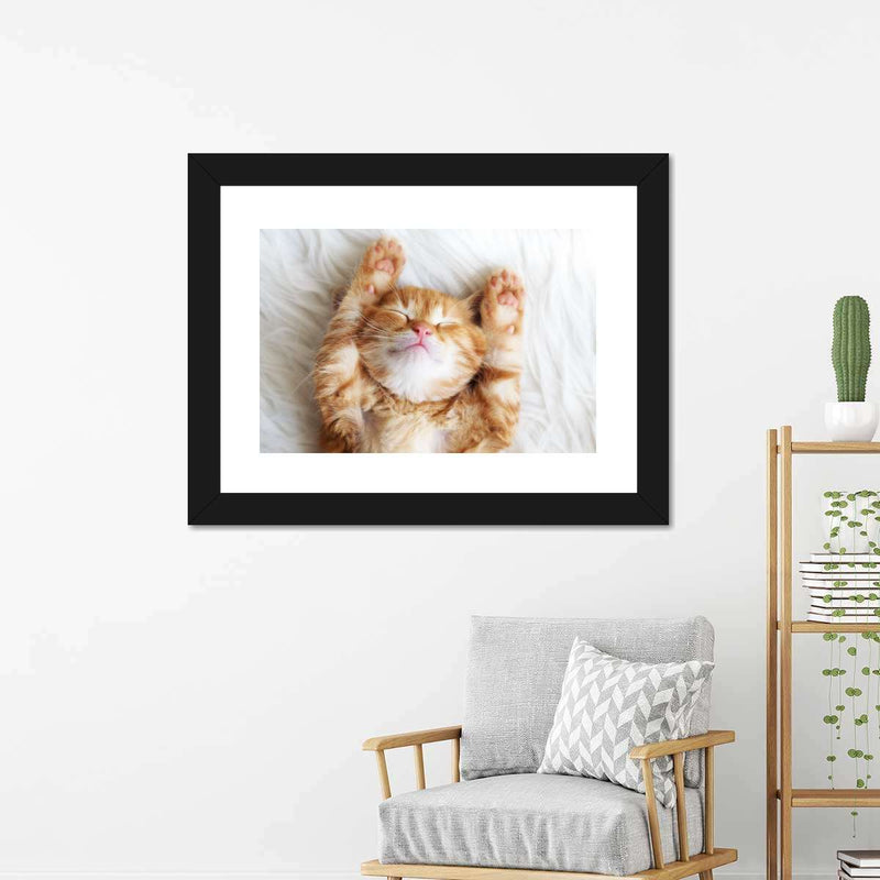 Sleepy Kitty Wall Art