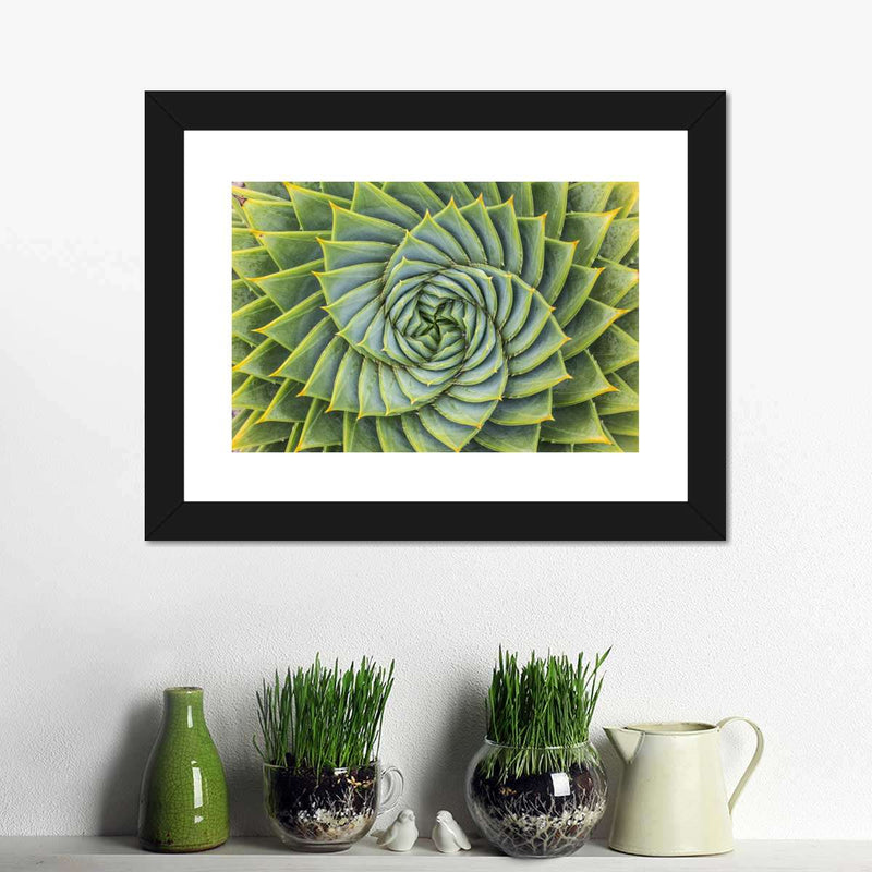 Spiral Succulent Wall Art