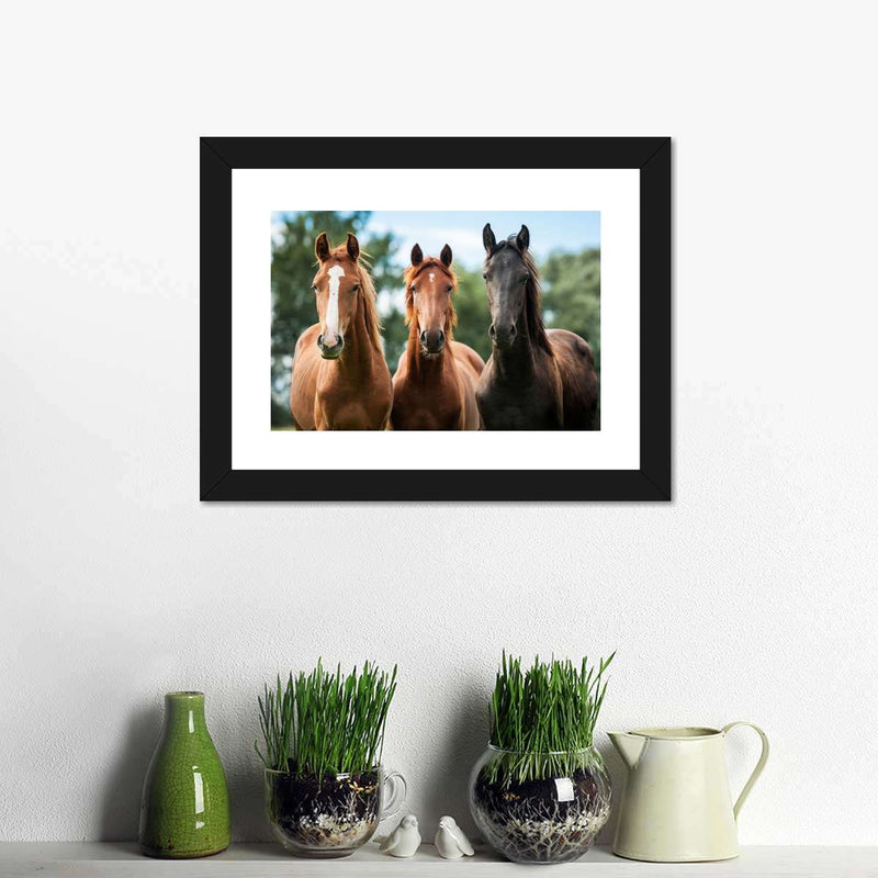 Young Horses Wall Art