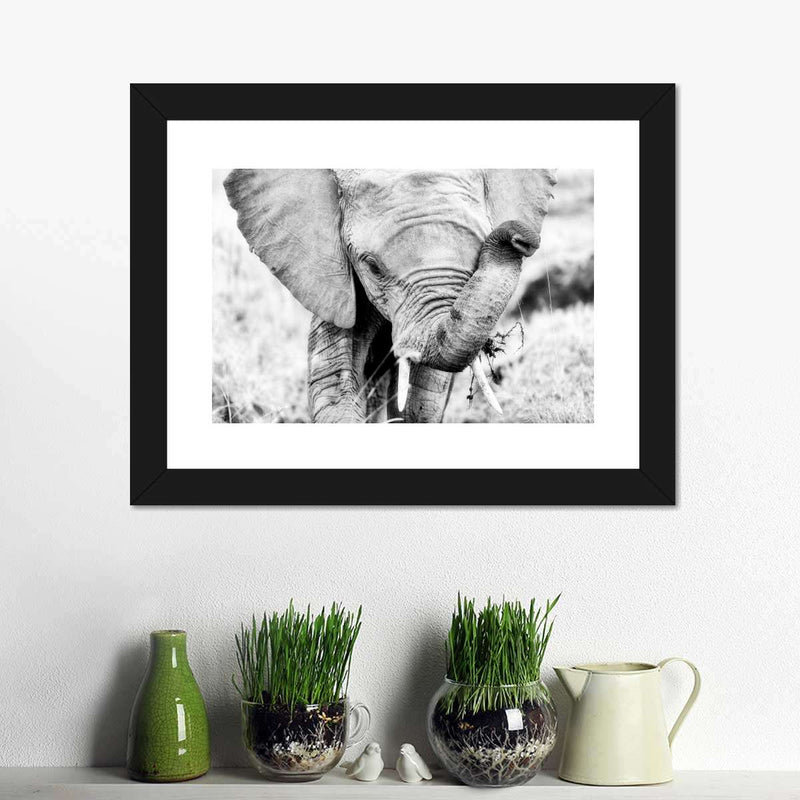 Kenyan Baby Elephant Wall Art