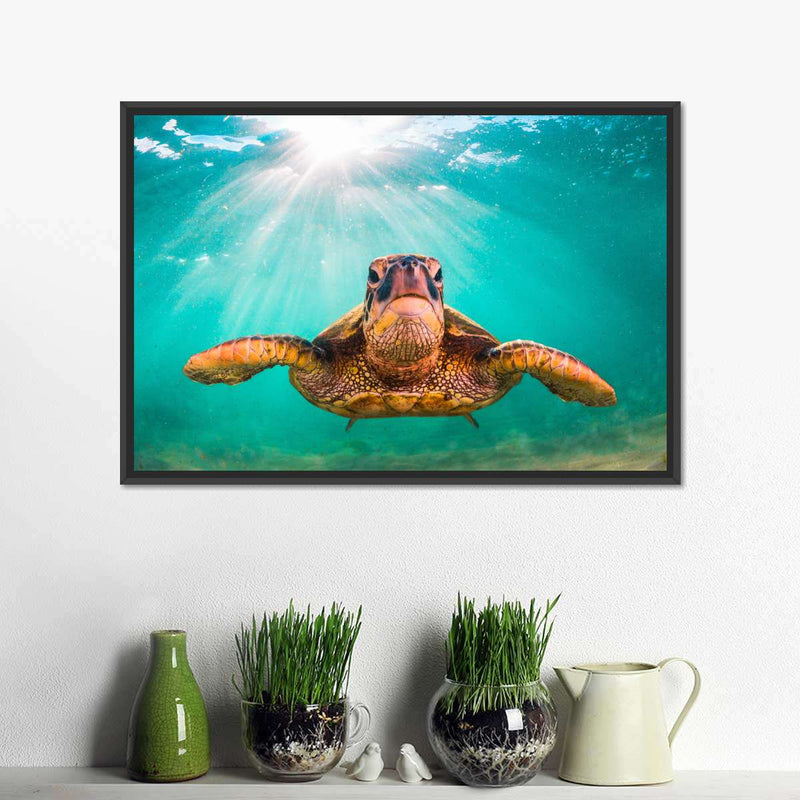 Maui Green Turtle Wall Art